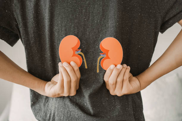 How Dr. Vivek Gaurav, Best Nephrologist in Siliguri, Diagnoses and Treats Kidney Conditions ?