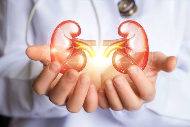 Why Choosing the Best Kidney Doctor in Siliguri Matters for Your Health ?